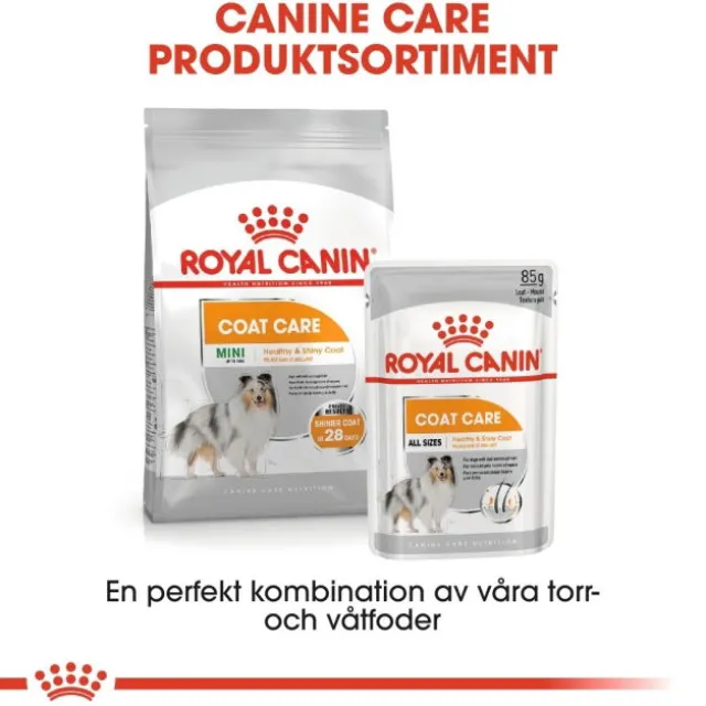 Royal Canin Coat Care Mini Adult torrfoder för hund