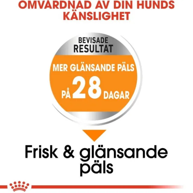 Royal Canin Coat Care Mini Adult torrfoder för hund