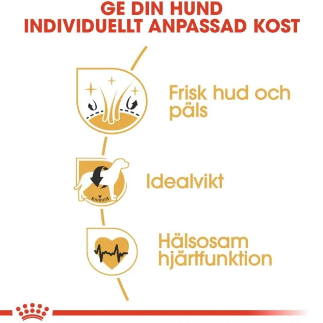Royal Canin Cocker Adult torrfoder för hund