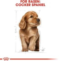 Royal Canin Cocker Puppy torrfoder för hundvalp
