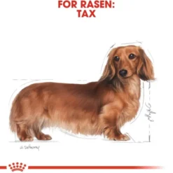 Royal Canin Dachshund Adult Loaf våtfoder för hund 12x85g