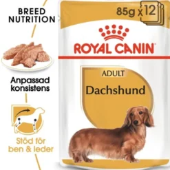 Royal Canin Dachshund Adult Loaf våtfoder för hund 12x85g