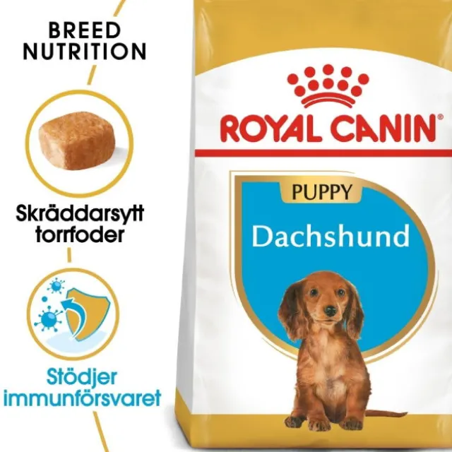 Royal Canin Dachshund Puppy torrfoder för hundvalp 1,5 kg