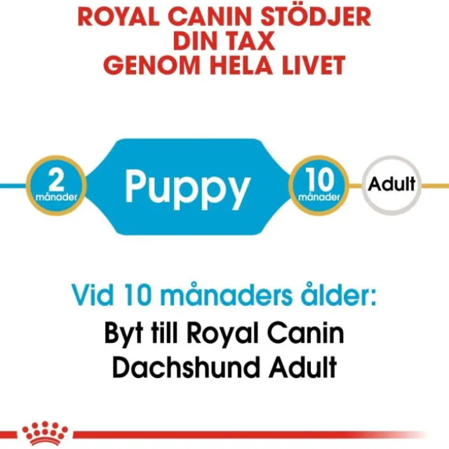Royal Canin Dachshund Puppy torrfoder för hundvalp 1,5 kg