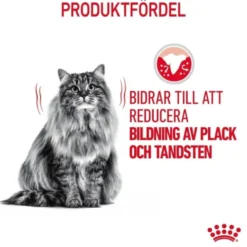 Royal Canin Dental Care Adult torrfoder för katt