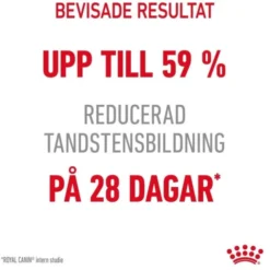 Royal Canin Dental Care Adult torrfoder för katt