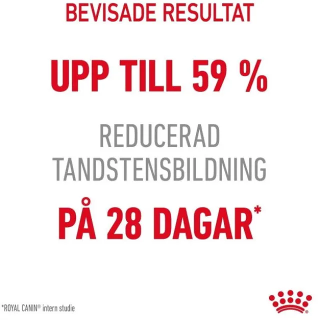 Royal Canin Dental Care Adult torrfoder för katt
