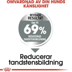 Royal Canin Dental Care Mini Adult torrfoder för hund