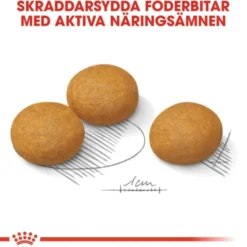 Royal Canin Dermacomfort Maxi Adult torrfoder för hund