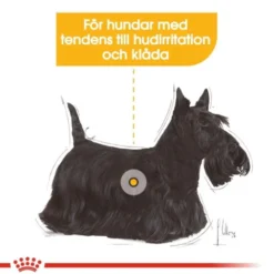 Royal Canin Dermacomfort Mini Adult torrfoder för hund