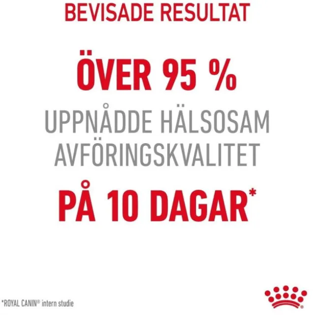 Royal Canin Digestive Care Adult torrfoder för katt