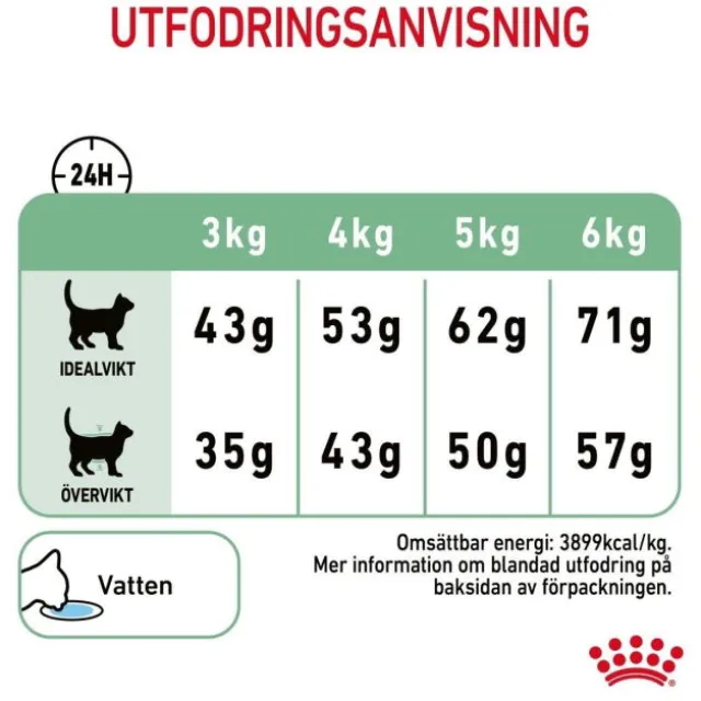 Royal Canin Digestive Care Adult torrfoder för katt