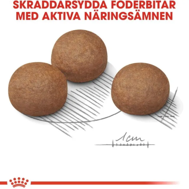 Royal Canin Digestive Care Maxi Adult torrfoder för hund