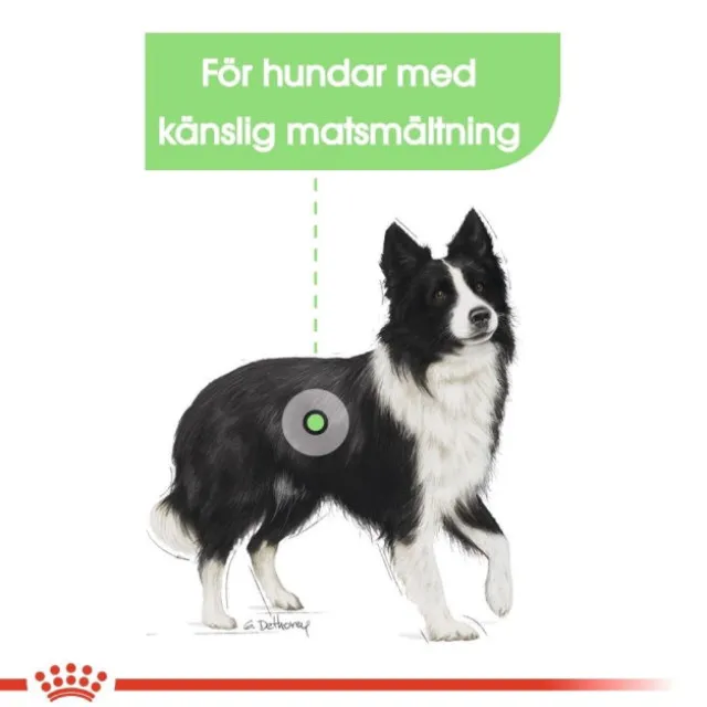 Royal Canin Digestive Care Medium Adult torrfoder för hund