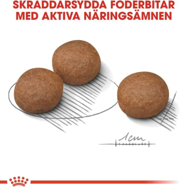 Royal Canin Digestive Care Medium Adult torrfoder för hund