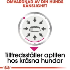 Royal Canin Exigent Adult våtfoder för hund 12x85 g