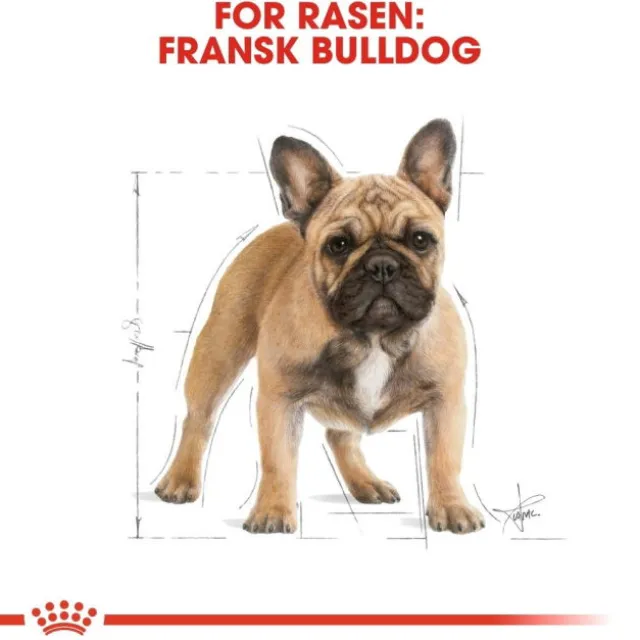 Royal Canin French Bulldog Adult torrfoder för hund