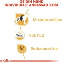 Royal Canin French Bulldog Adult torrfoder för hund