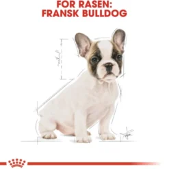 Royal Canin French Bulldog Puppy torrfoder för hundvalp