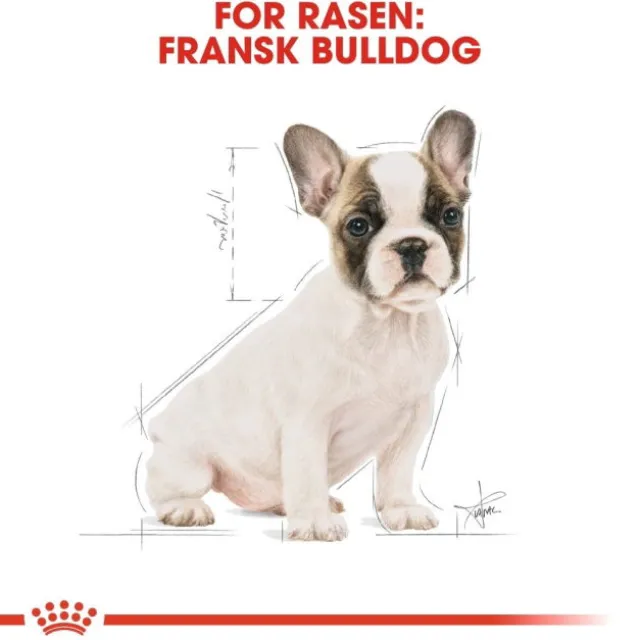 Royal Canin French Bulldog Puppy torrfoder för hundvalp