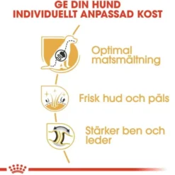 Royal Canin German Shepherd Adult torrfoder för hund