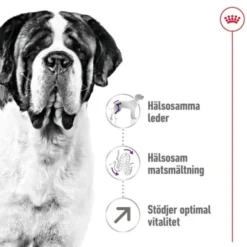 Royal Canin Giant Adult torrfoder för hund