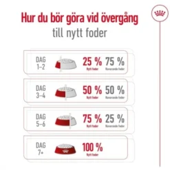 Royal Canin Giant Adult torrfoder för hund