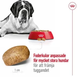 Royal Canin Giant Adult torrfoder för hund