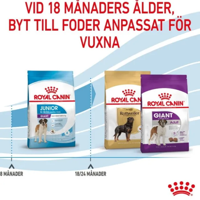 Royal Canin Giant Junior torrfoder för hundvalp