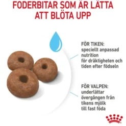 Royal Canin Giant Starter torrfoder för hundvalp
