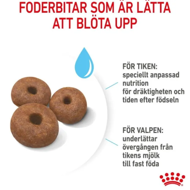Royal Canin Giant Starter torrfoder för hundvalp