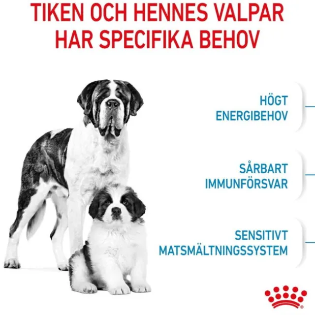 Royal Canin Giant Starter torrfoder för hundvalp