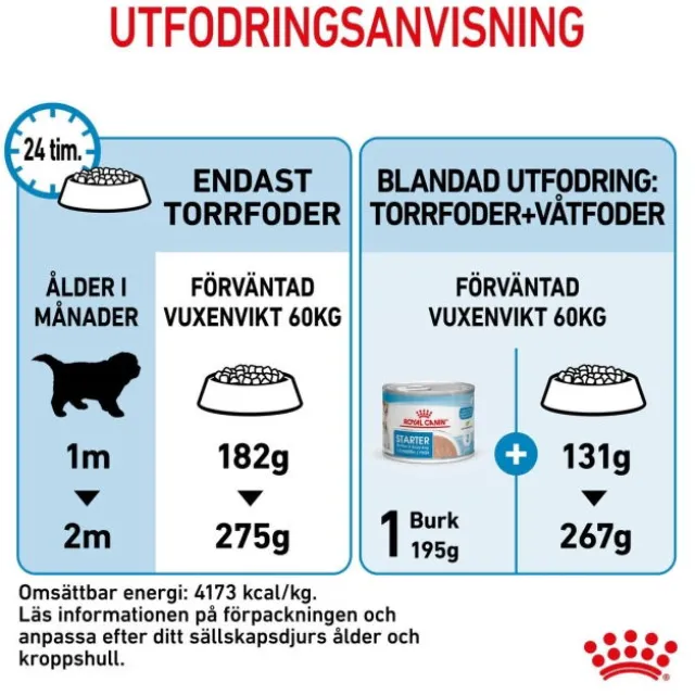 Royal Canin Giant Starter torrfoder för hundvalp