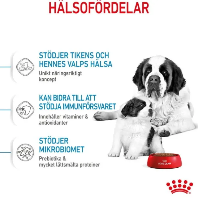 Royal Canin Giant Starter torrfoder för hundvalp