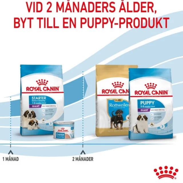 Royal Canin Giant Starter torrfoder för hundvalp