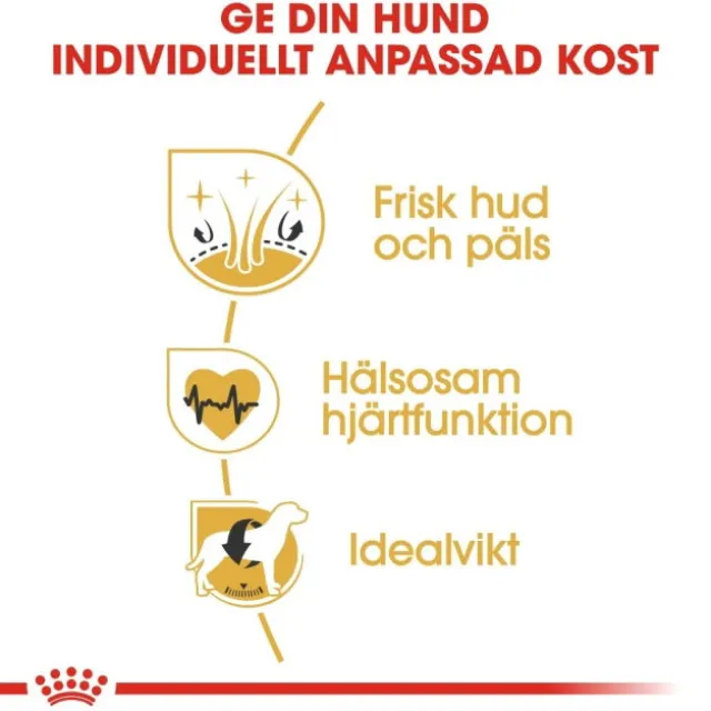 Royal Canin Golden Retriever Adult torrfoder för hund