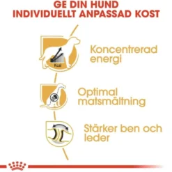 Royal Canin Great Dane Adult torrfoder för hund
