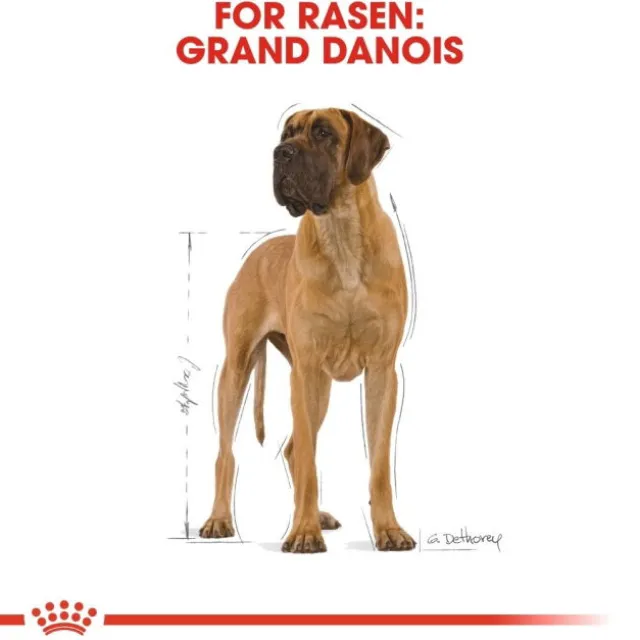 Royal Canin Great Dane Adult torrfoder för hund
