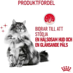 Royal Canin Hair & Skin Care Adult torrfoder för katt