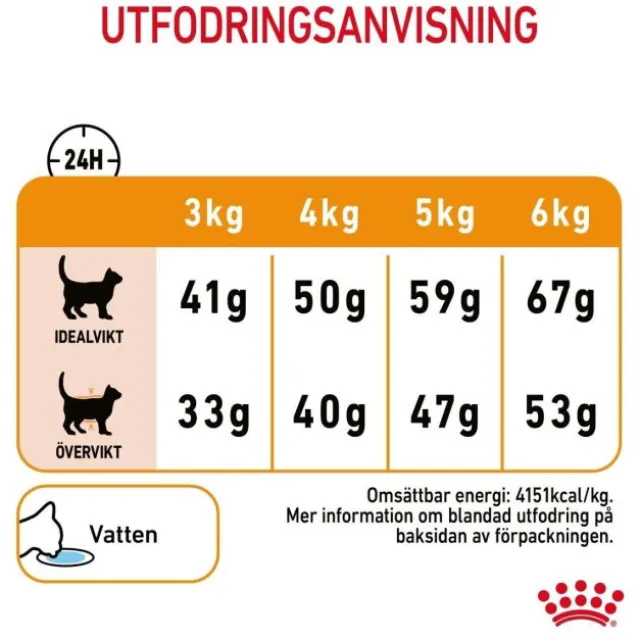 Royal Canin Hair & Skin Care Adult torrfoder för katt