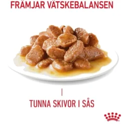 Royal Canin Hair & Skin Care Gravy Adult våtfoder för katt 12 x 85 g