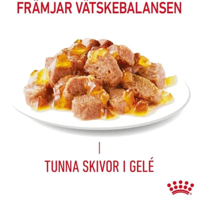 Royal Canin Hair & Skin Care Jelly Adult våtfoder för katt 12 x 85 g