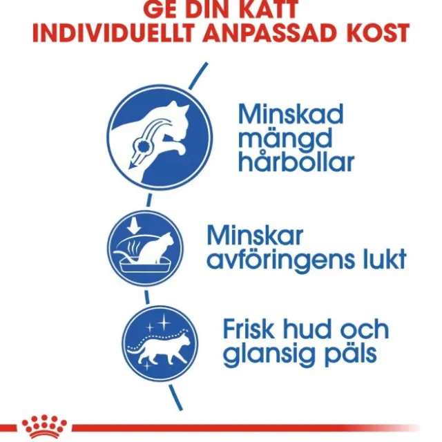 Royal Canin Indoor Long Hair Adult torrfoder för katt