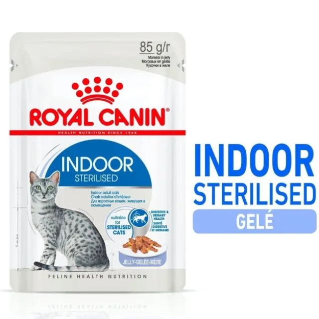 Royal Canin Indoor Sterilised Jelly Adult våtfoder för katt 12x85 g