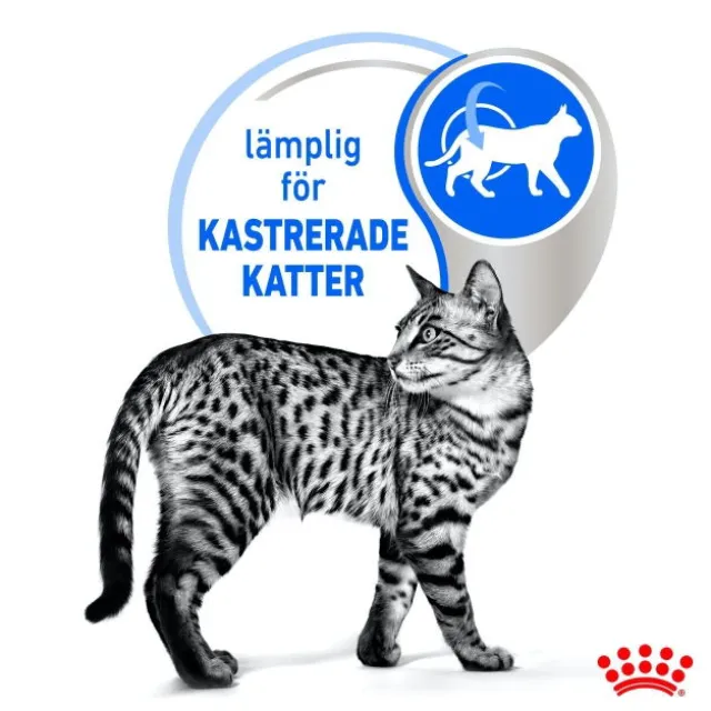 Royal Canin Indoor Sterilised Jelly Adult våtfoder för katt 12x85 g