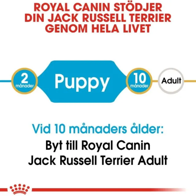 Royal Canin Jack Russell Terrier Puppy torrfoder för hundvalp