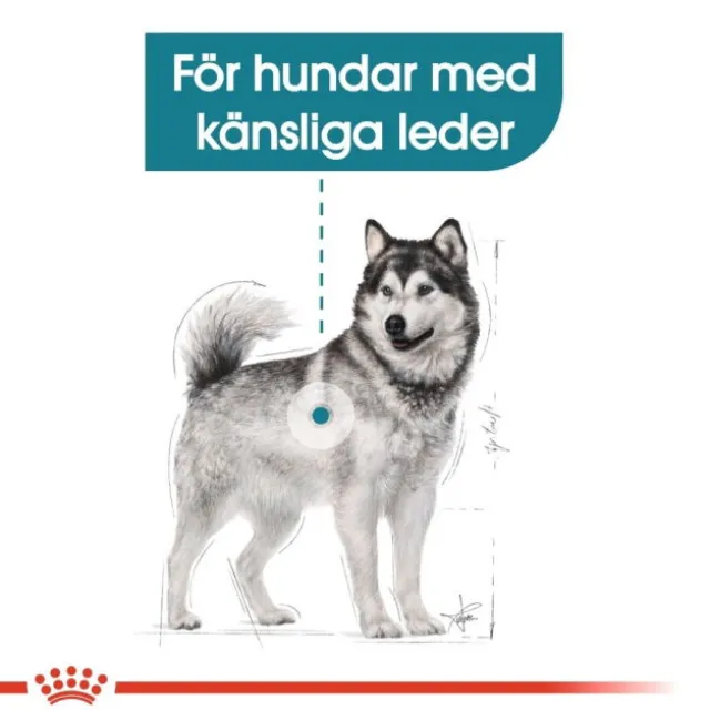 Royal Canin Joint Care Maxi Adult torrfoder för hund