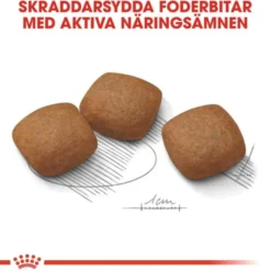 Royal Canin Joint Care Maxi Adult torrfoder för hund