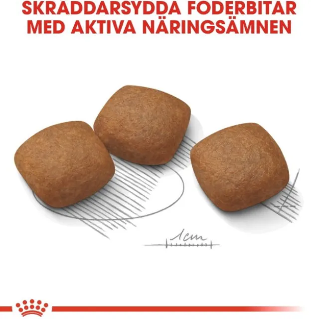 Royal Canin Joint Care Maxi Adult torrfoder för hund