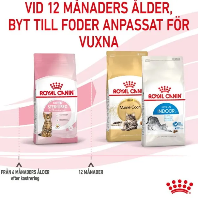 Royal Canin Kitten Sterilised torrfoder för kattunge